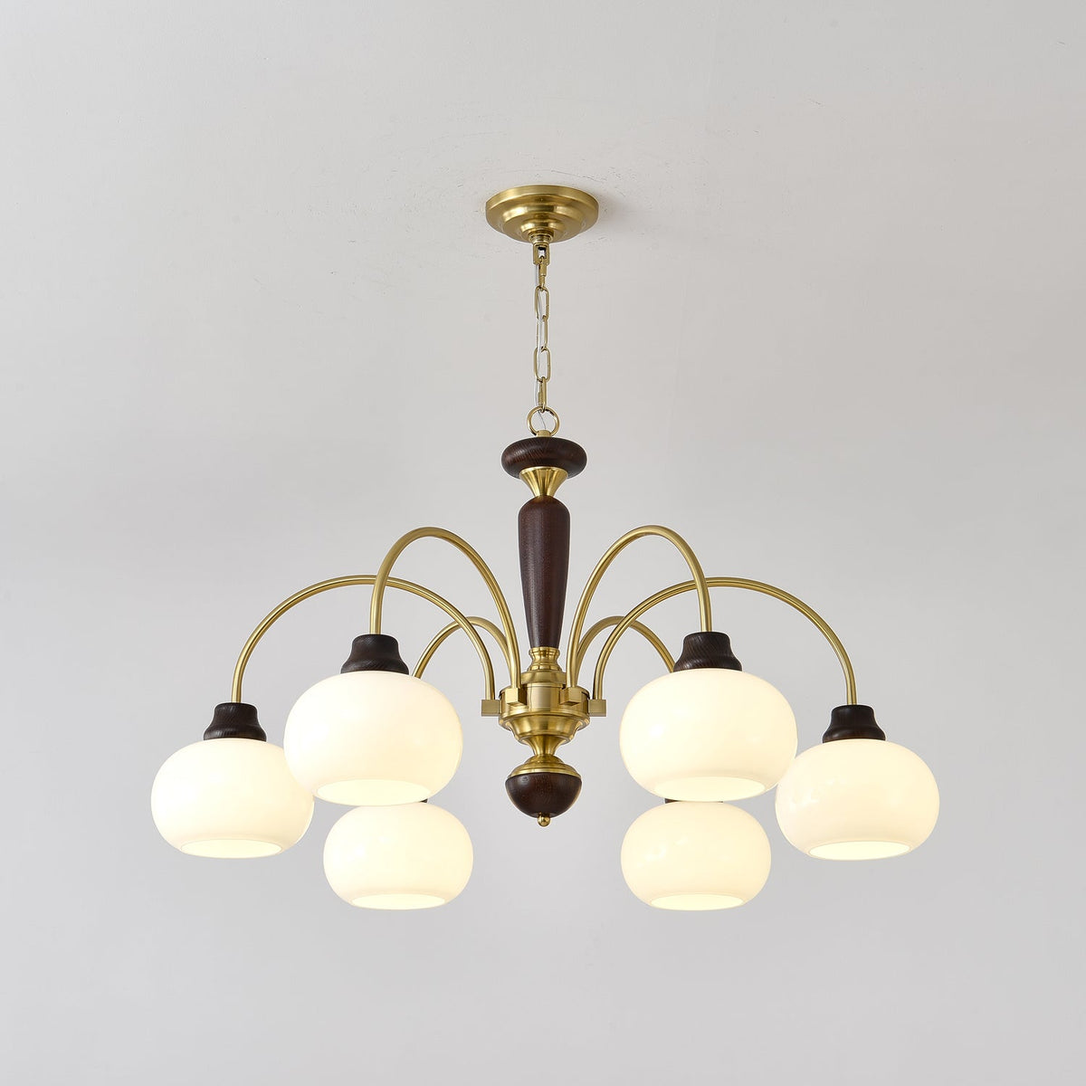 Arched Globe Chandelier with Adjustable Height