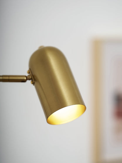 Adjustable Arm Wall Lamp with USB Charging