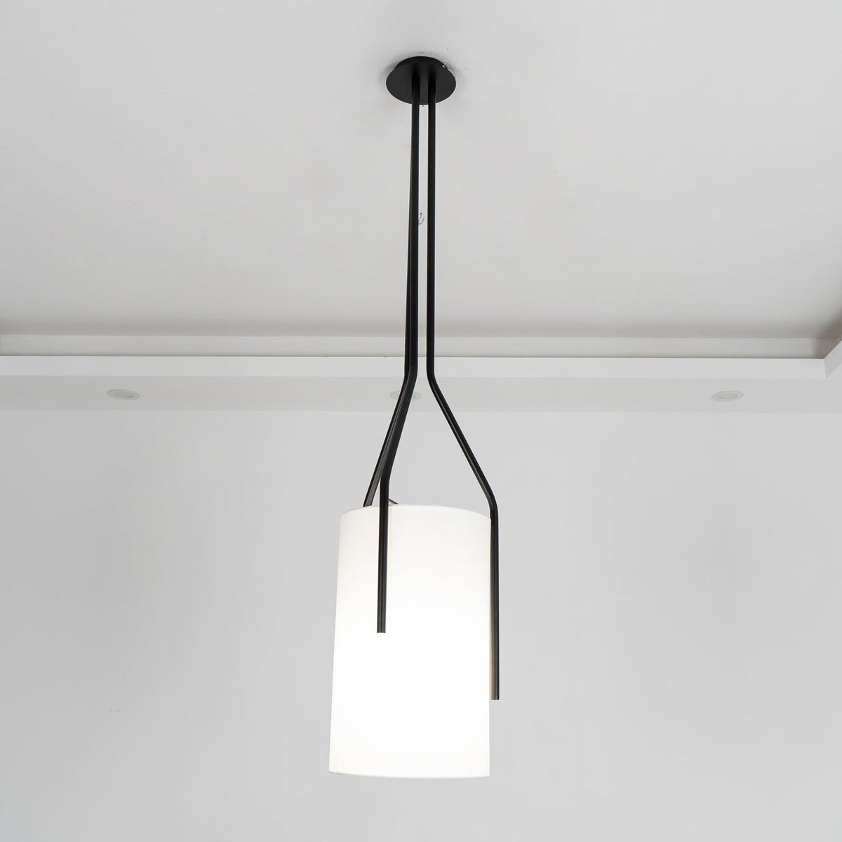 Arborescence Chandelier with Adjustable Brightness