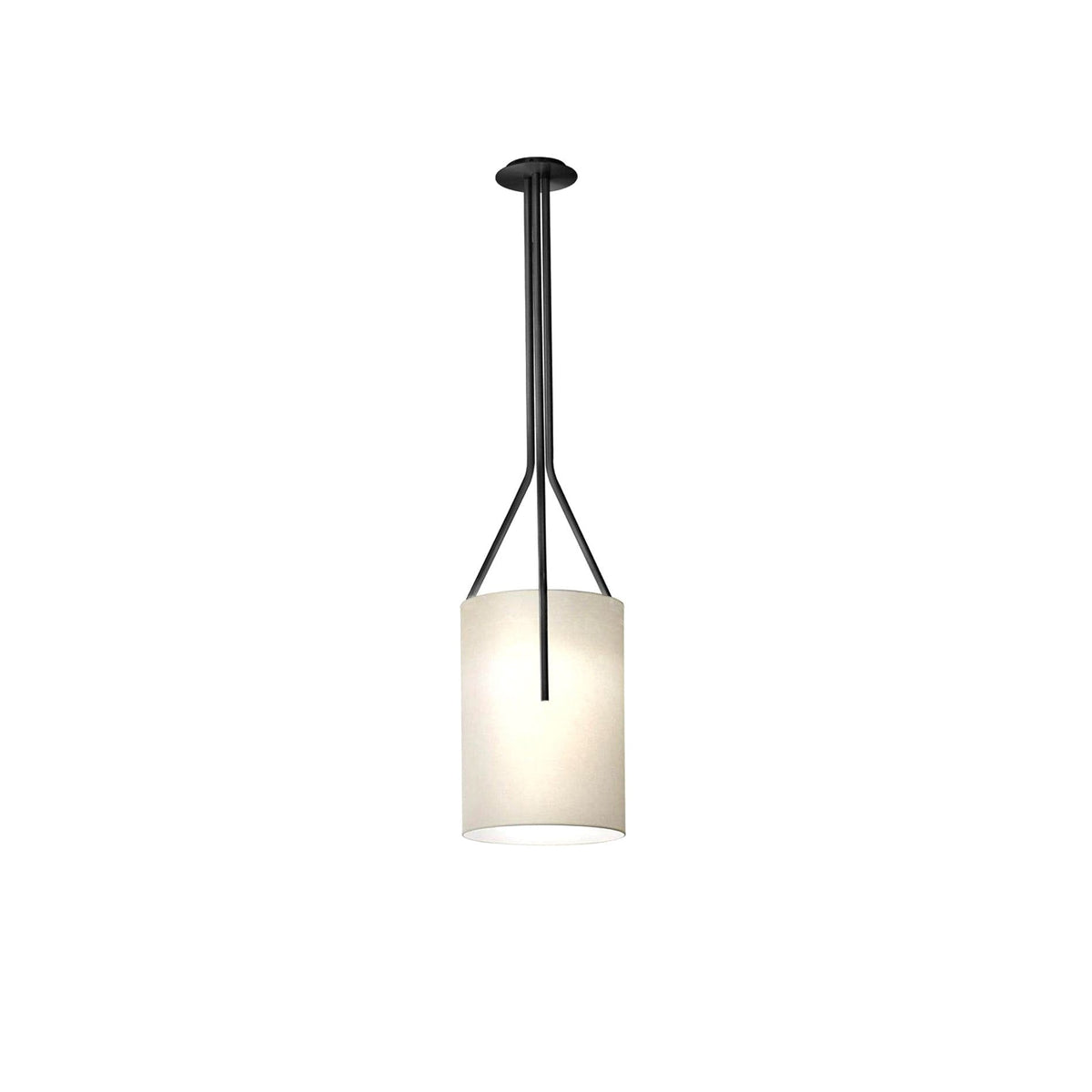 Arborescence Chandelier with Adjustable Brightness