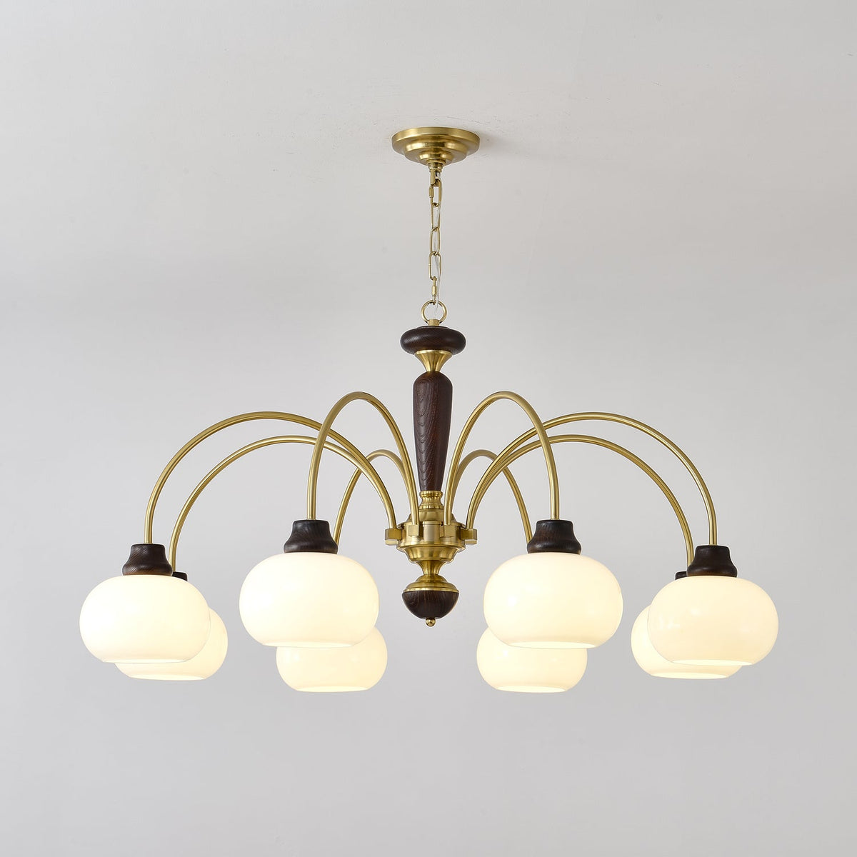 Arched Globe Chandelier with Adjustable Height