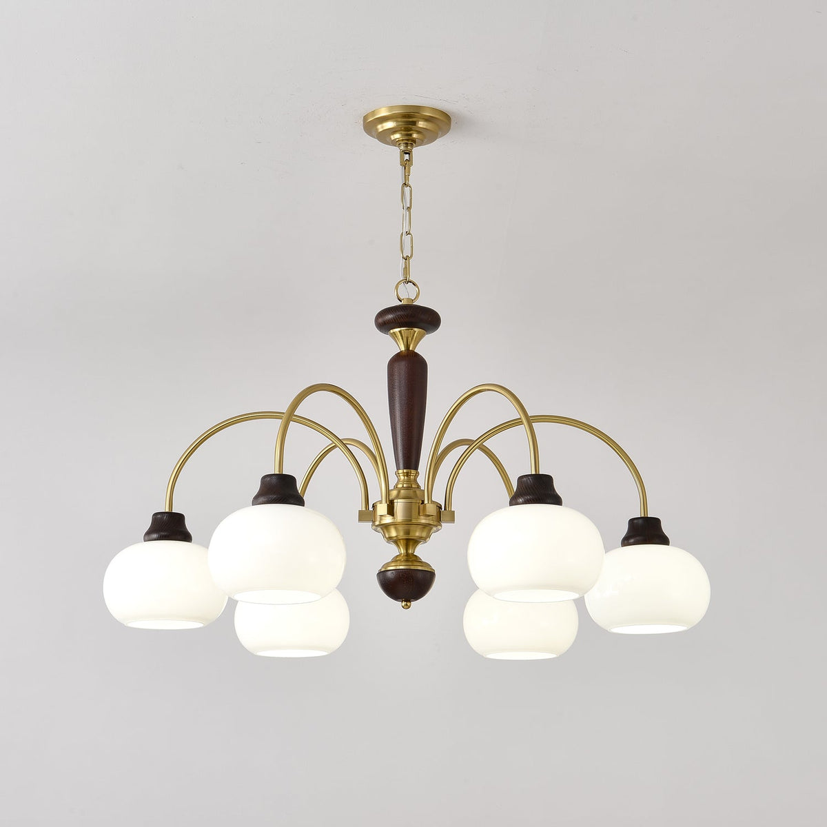 Arched Globe Chandelier with Adjustable Height