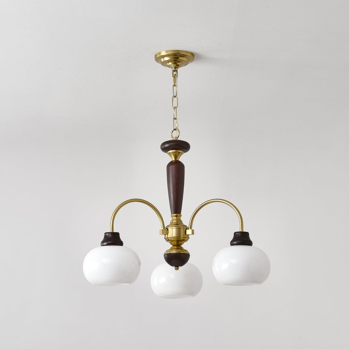 Arched Globe Chandelier with Adjustable Height