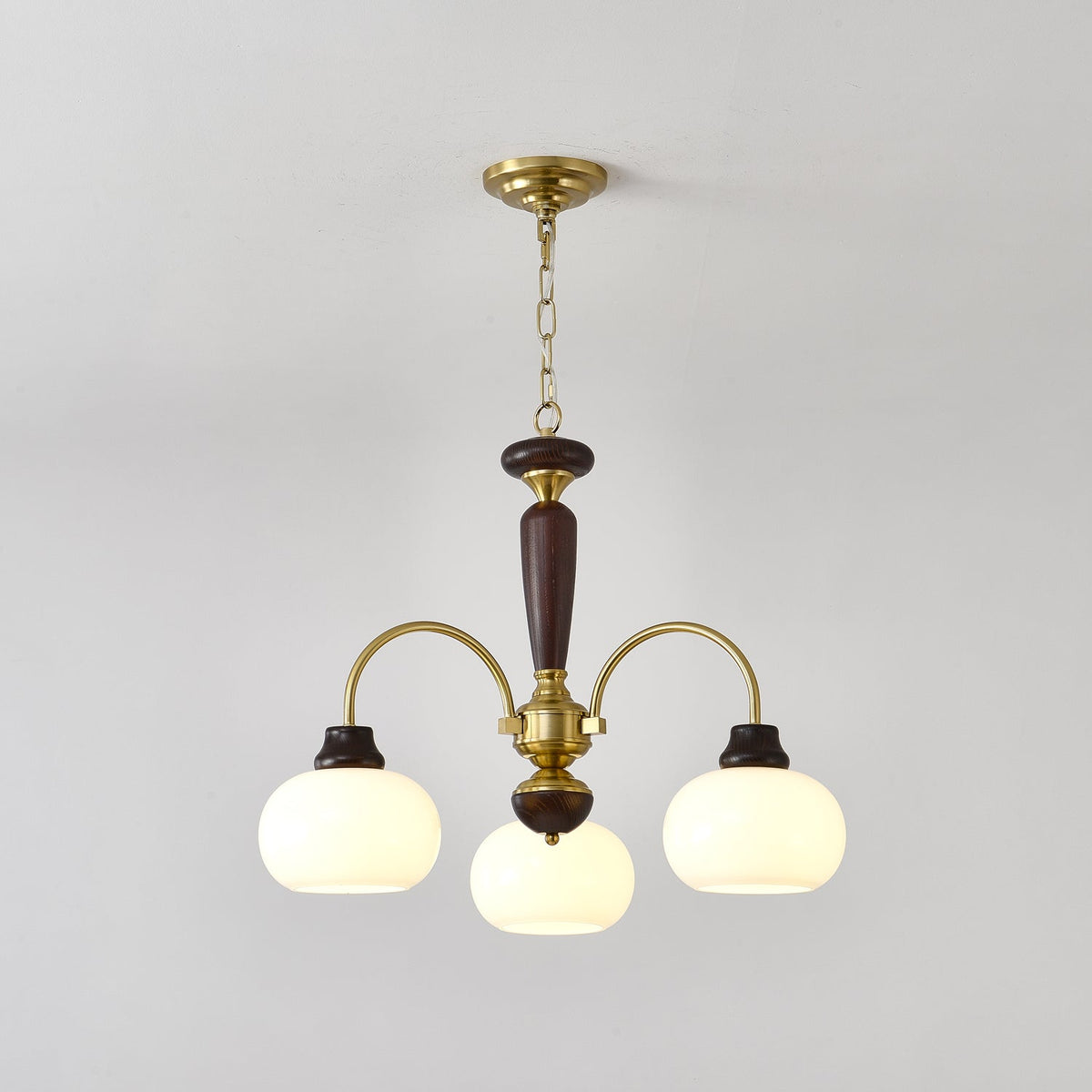 Arched Globe Chandelier with Adjustable Height — front view