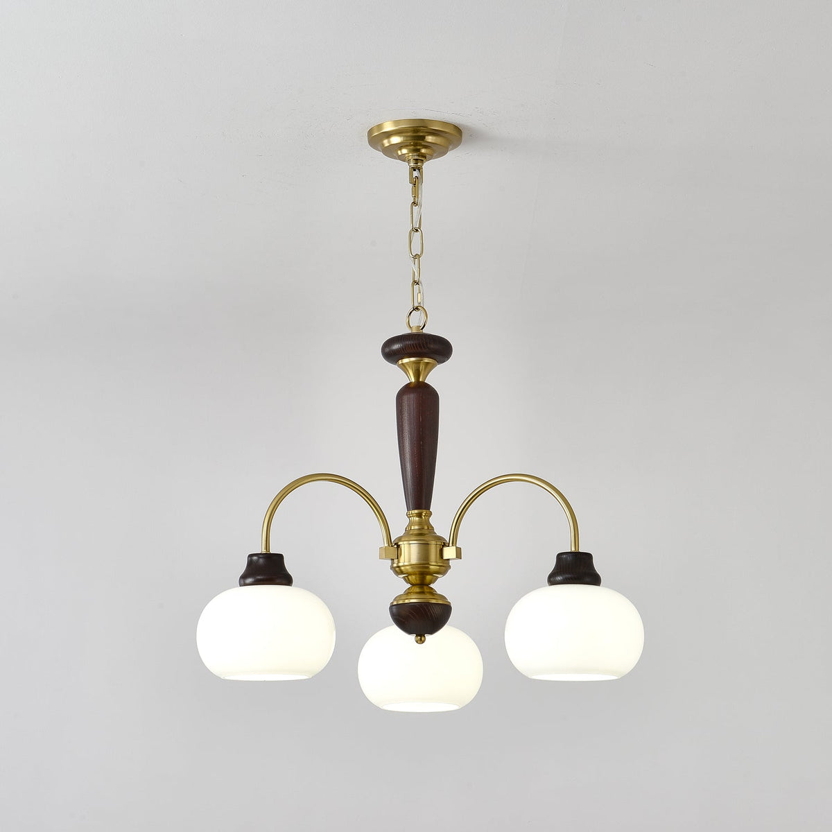 Arched Globe Chandelier with Adjustable Height