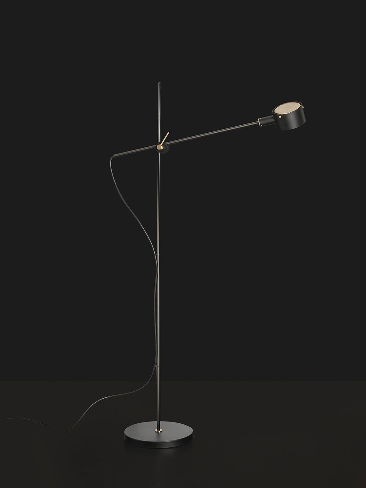 Arclen Adjustable Floor Lamp Position 18