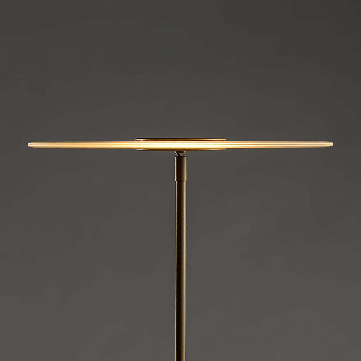 Luxora Floor Lamp Position 14