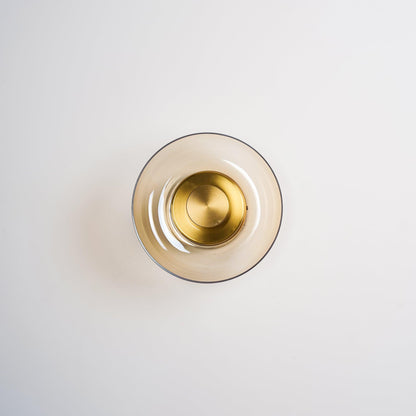 Glass Wall Light with Adjustable Brightness
