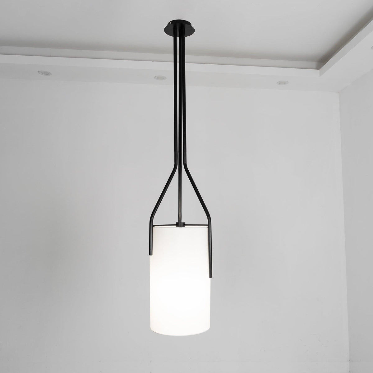 Arborescence Chandelier with Adjustable Brightness