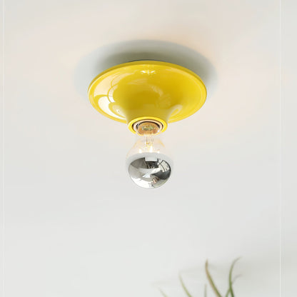 Glass Bulb Wall Sconce with Adjustable Lighting