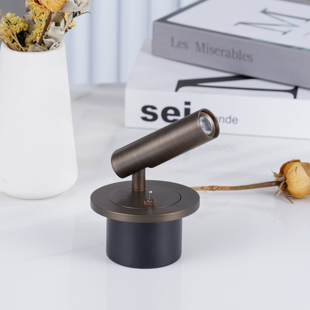 Flex Arm Reading Wall Lamp with Adjustable Brightness