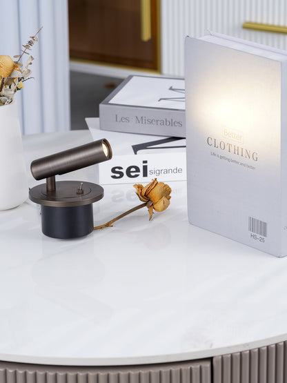 Flex Arm Reading Wall Lamp with Adjustable Brightness