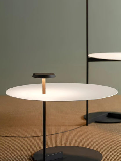 Flat Floor Lamp Position 19