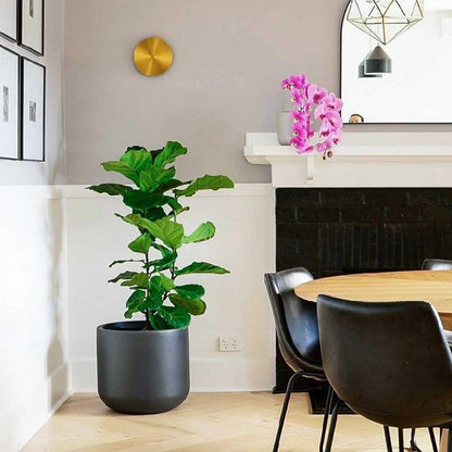 Modern Wall Lamp with Adjustable Brightness