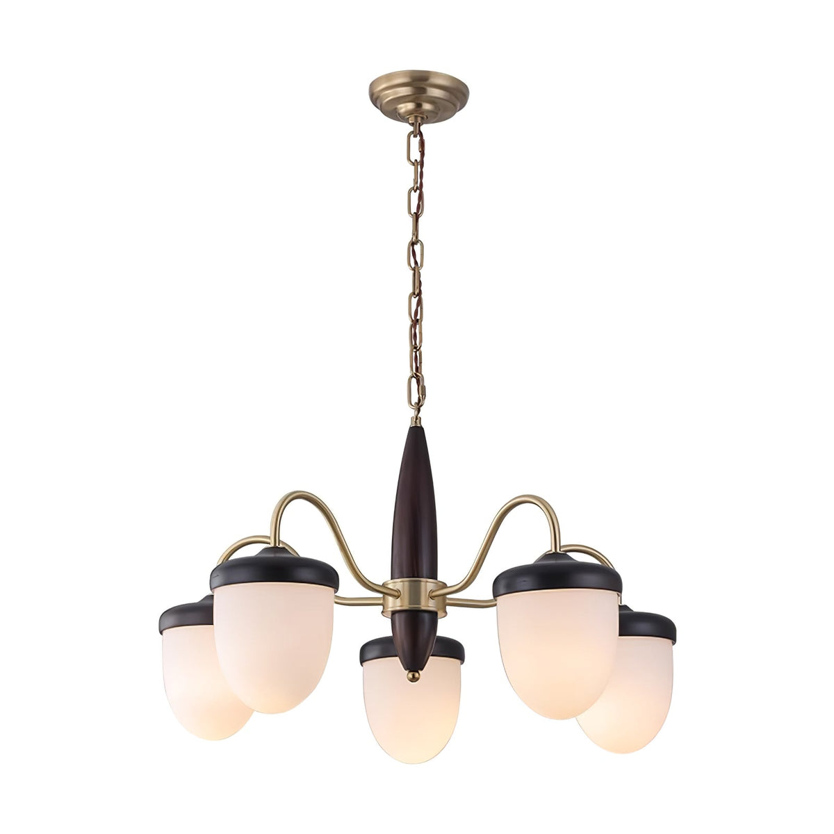 Hazelnut Branch Chandelier with Adjustable Height