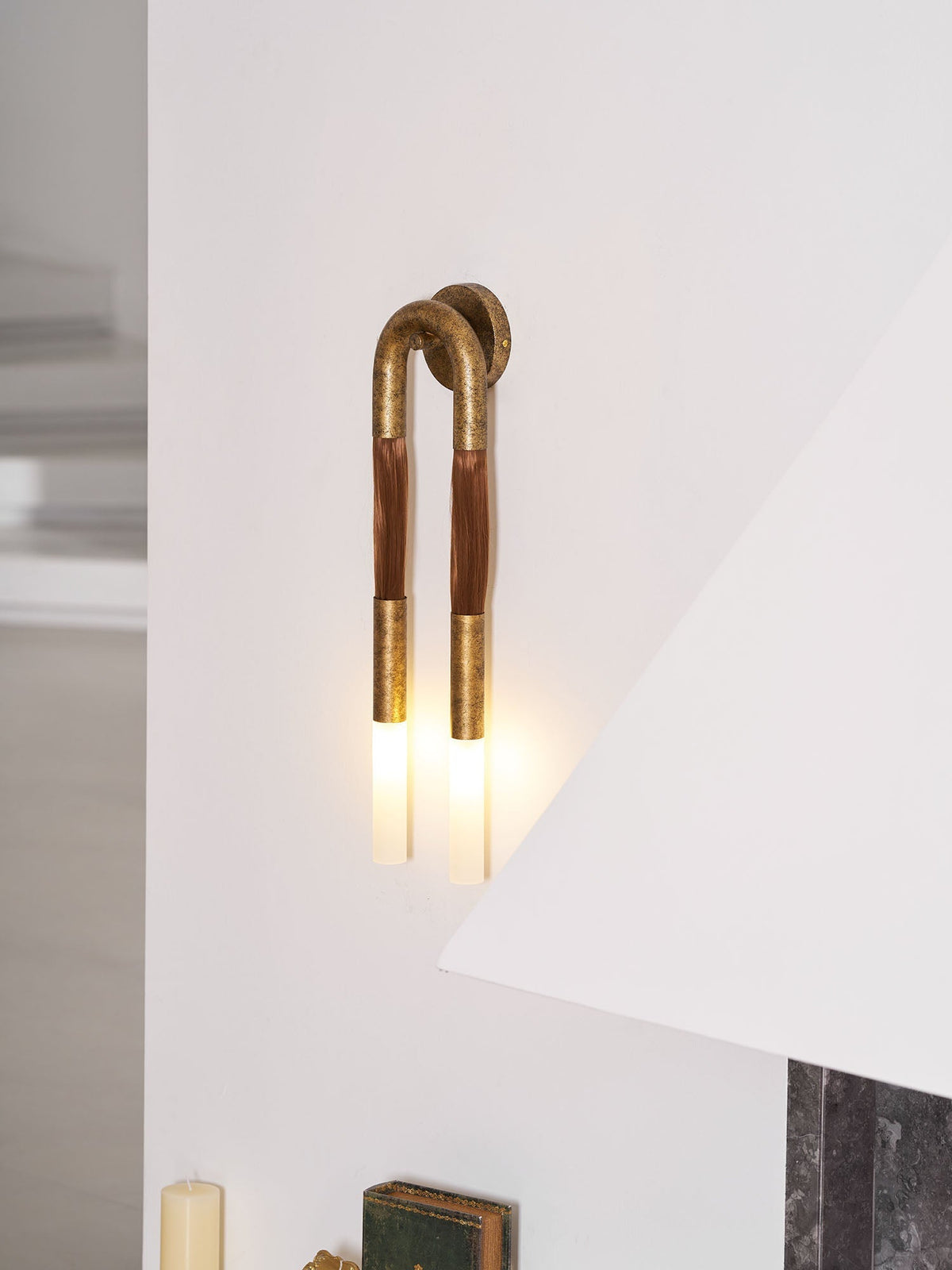 Horsehair Wall Lamp with Adjustable Light
