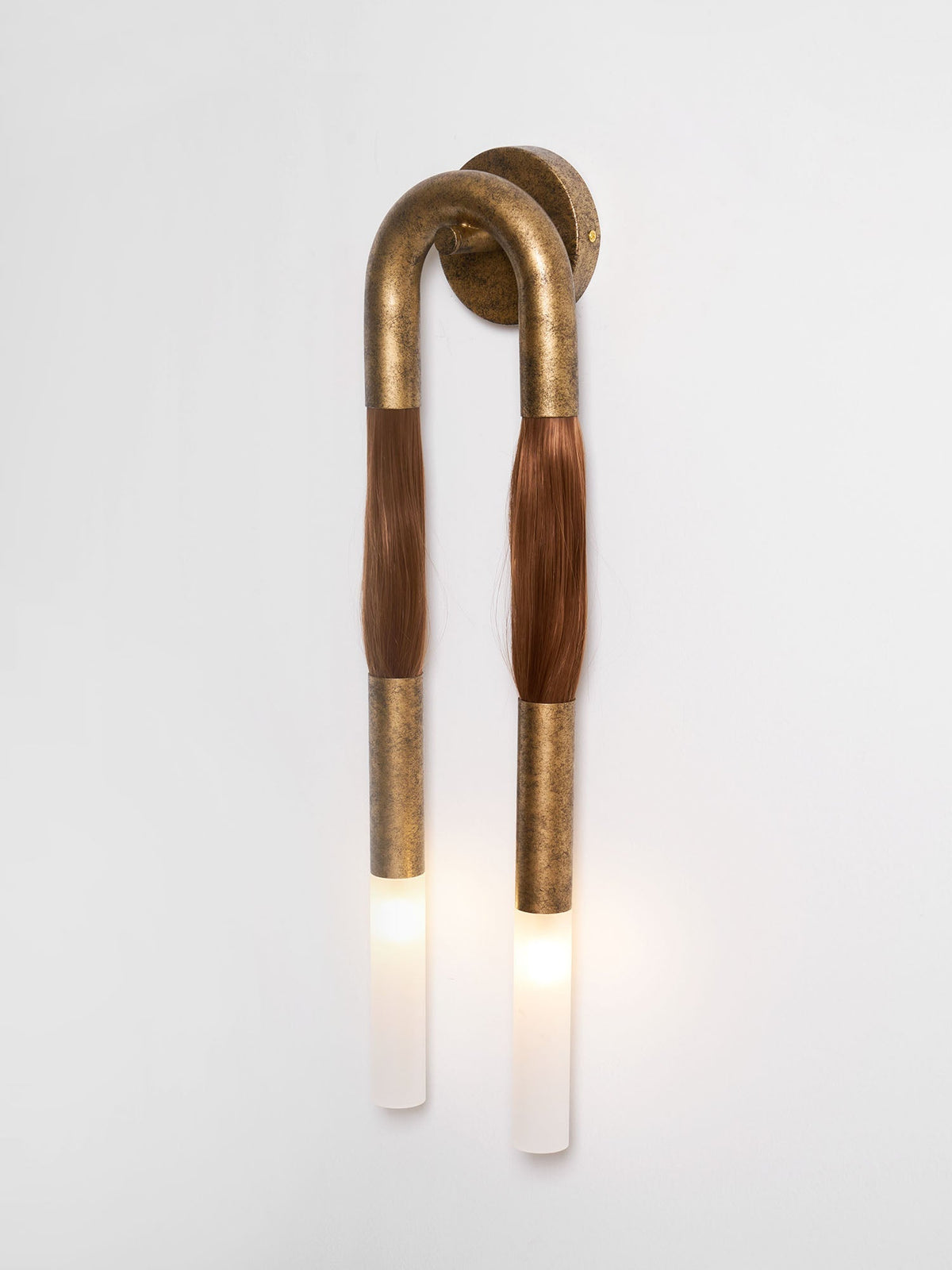 Horsehair Wall Lamp with Adjustable Light
