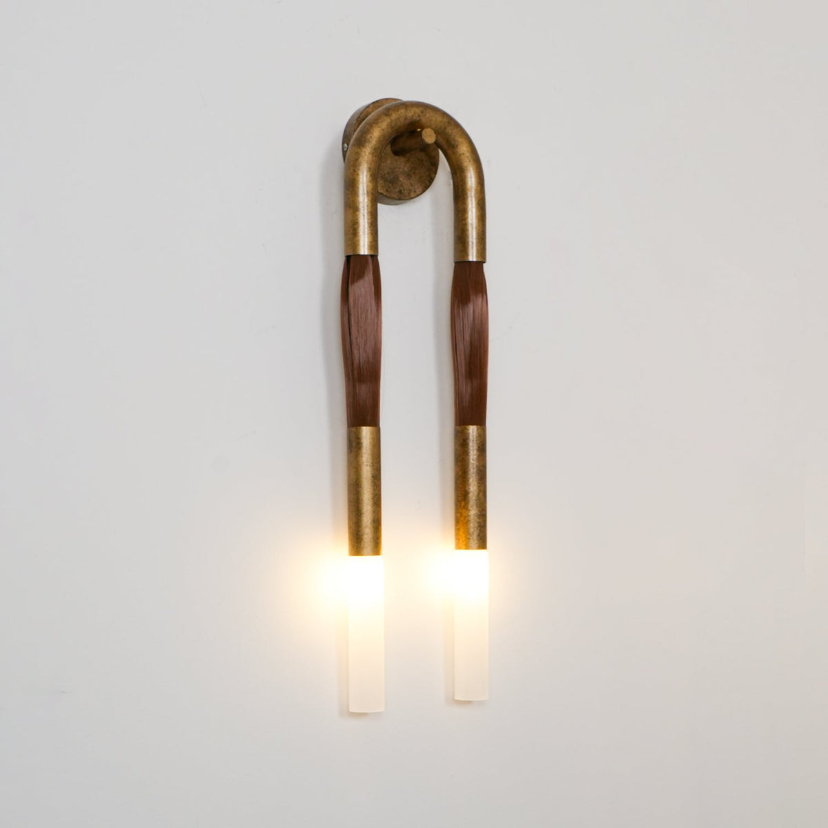 Horsehair Wall Lamp with Adjustable Light