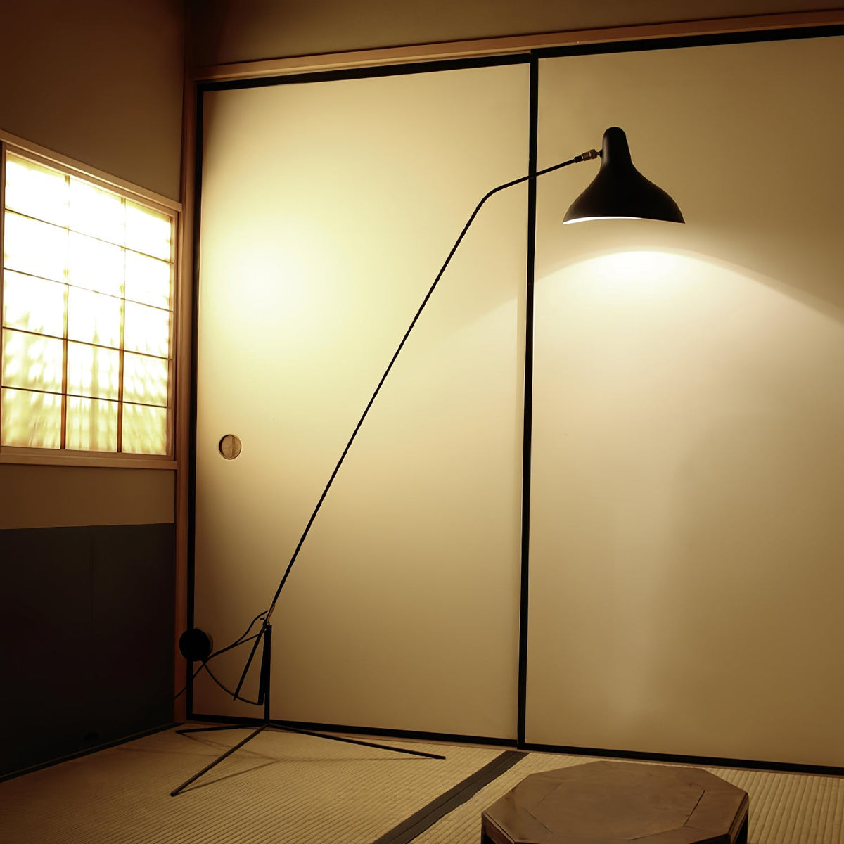 Mantis Arm Floor Lamp Position 10