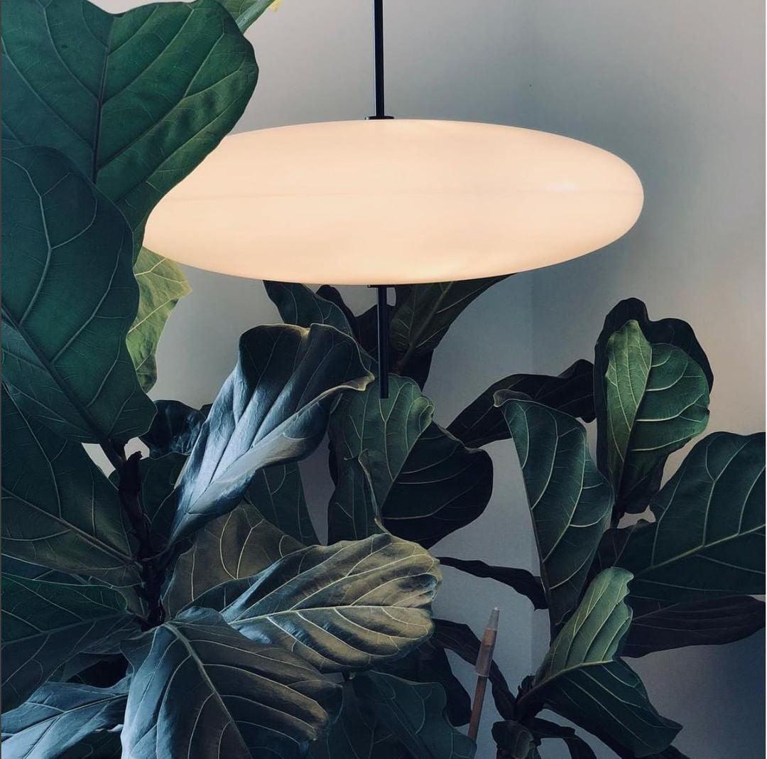 Opal Disc Suspension Lamp Position 30