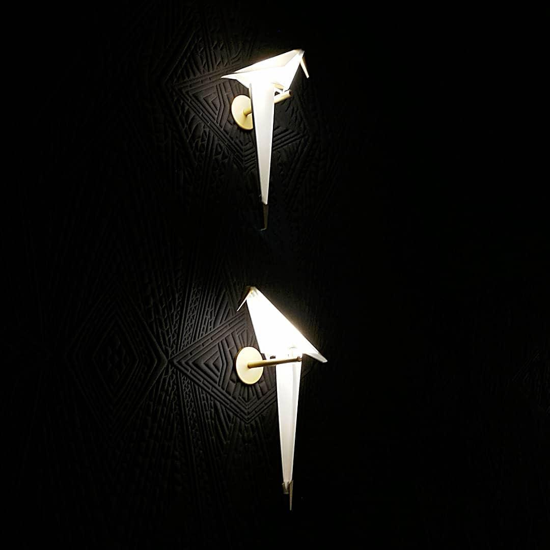 Bird-Inspired Wall Lamp with Adjustable Brightness