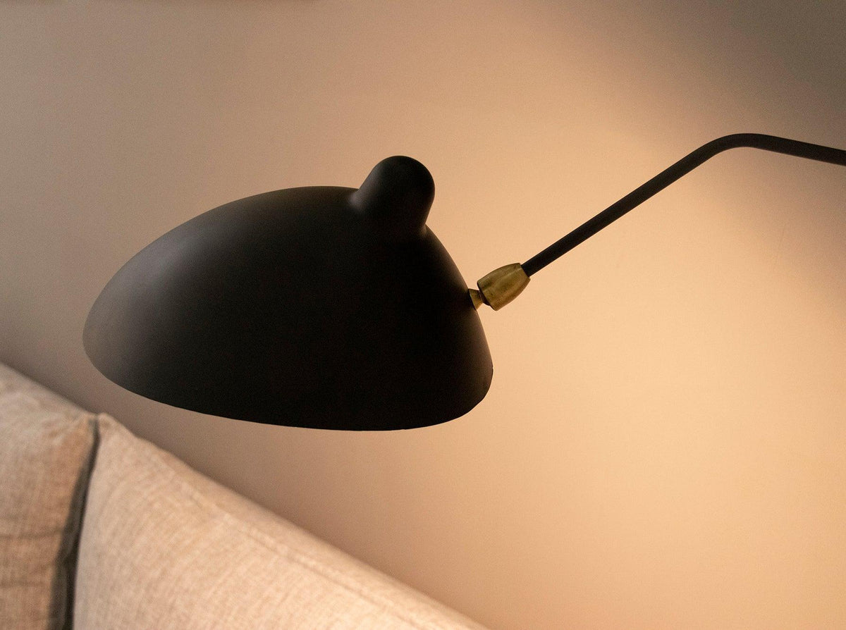 Adjustable Arm Wall Sconce, Energy-Efficient LED