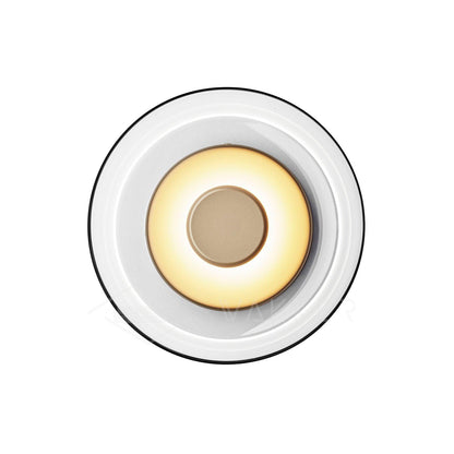 Glass Wall Light with Adjustable Brightness
