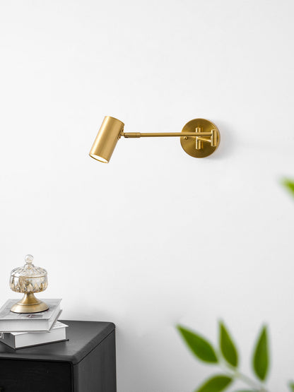 Swing Arm Wall Sconce with LED Light