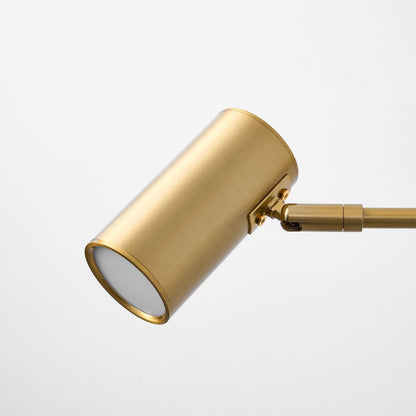 Swing Arm Wall Sconce with LED Light