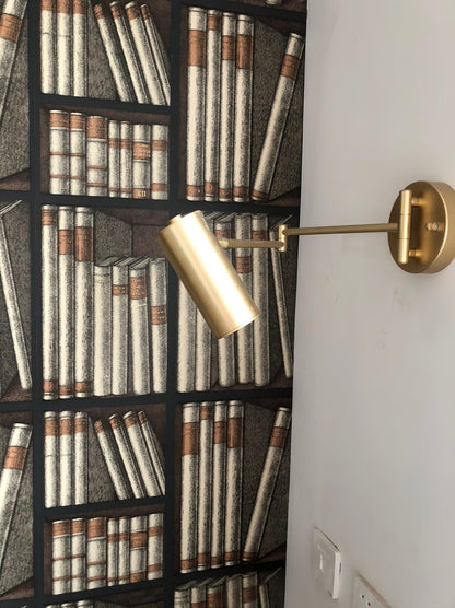 Swing Arm Wall Sconce with LED Light
