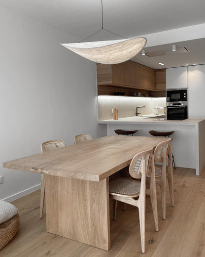 Tense Pendant Light Position 41