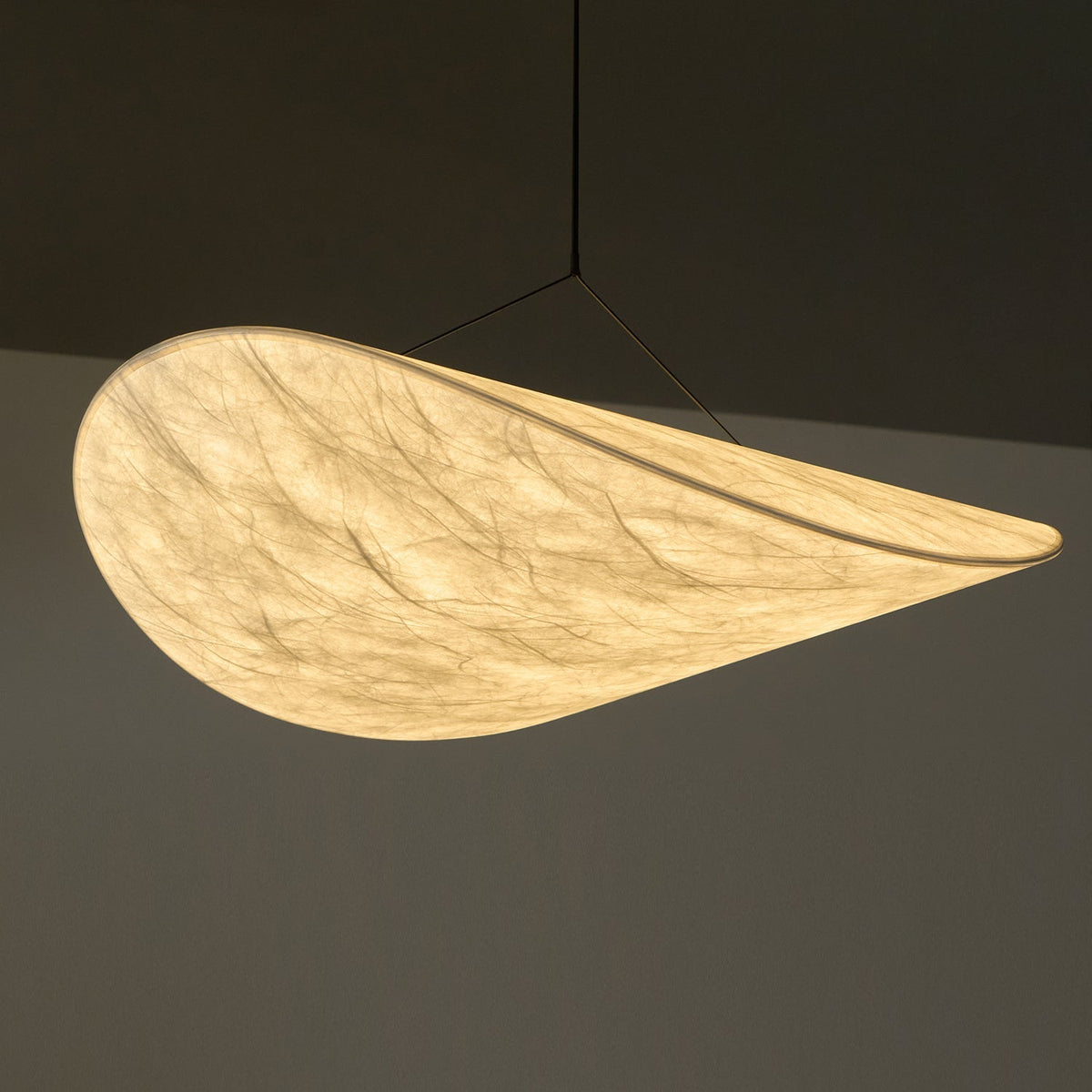 Tense Pendant Light Position 161