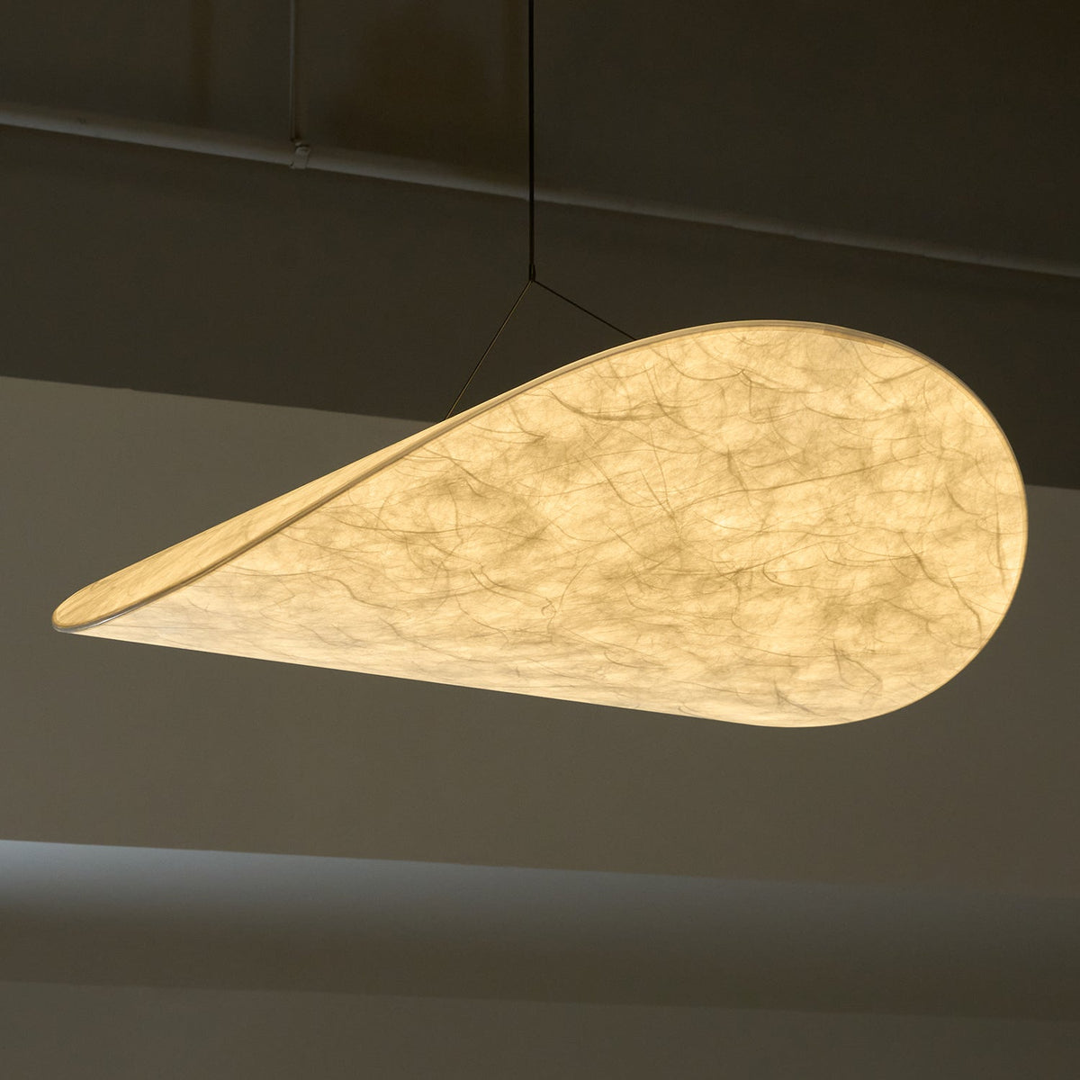Tense Pendant Light Position 162